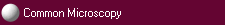 Common Microscopy